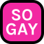 so_gay
