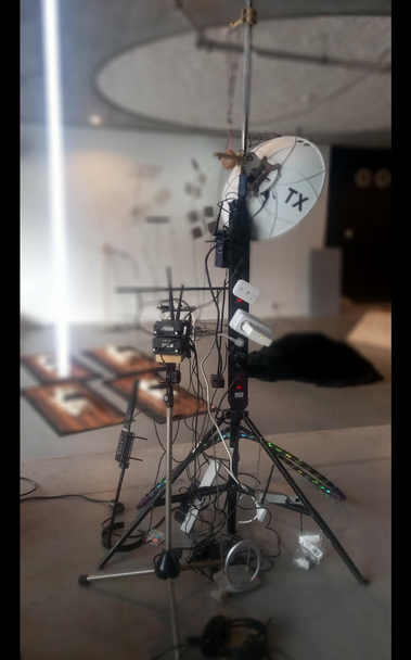 Posted media